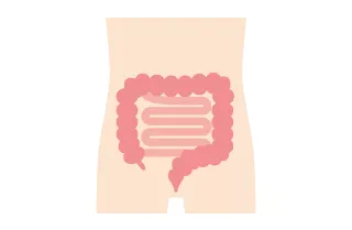 大腸内視鏡検査（大腸カメラ）でできること